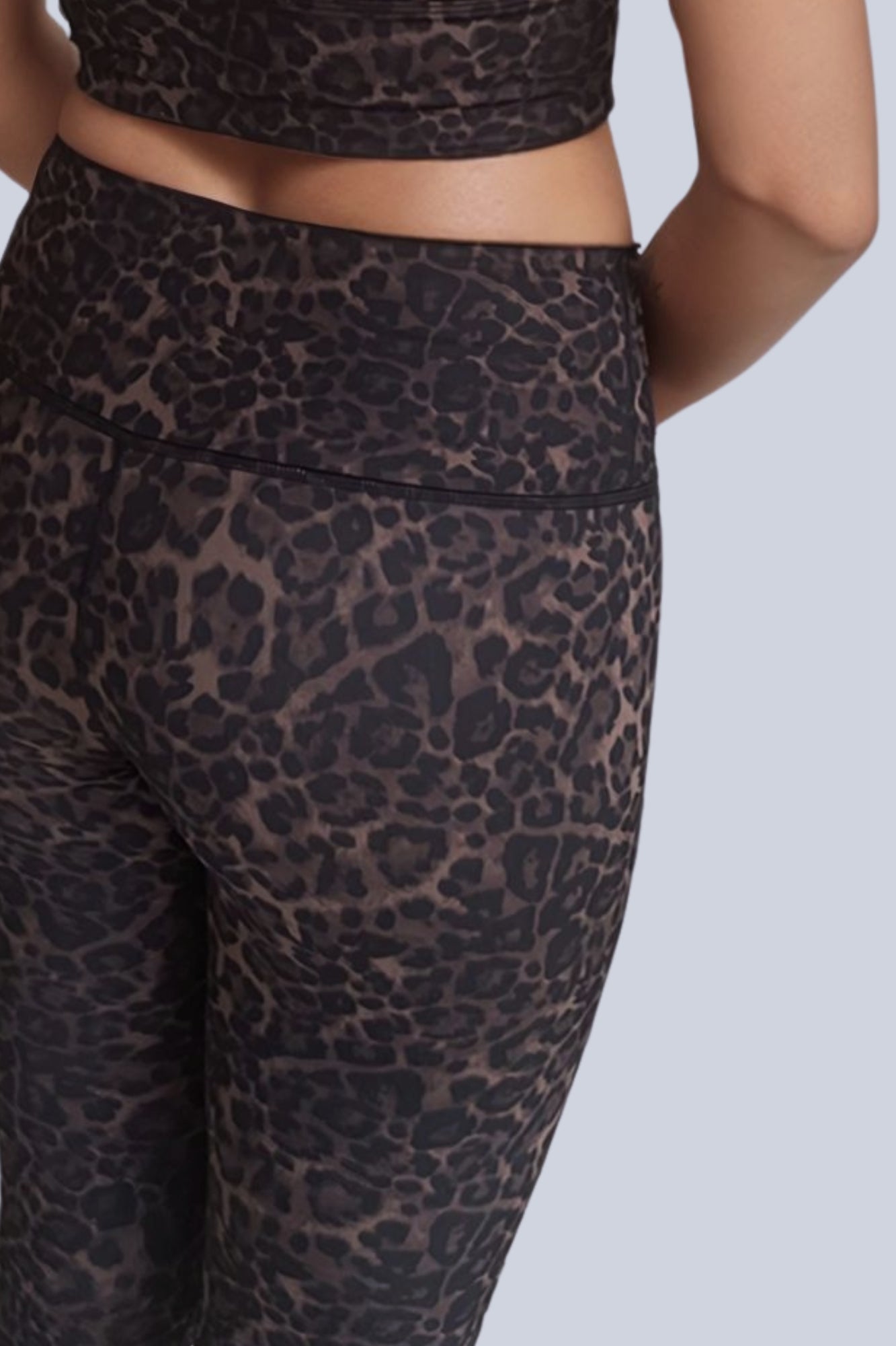 Wild Cat Full Length Legging - Born Nouli